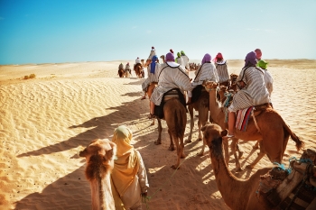 camel caravan